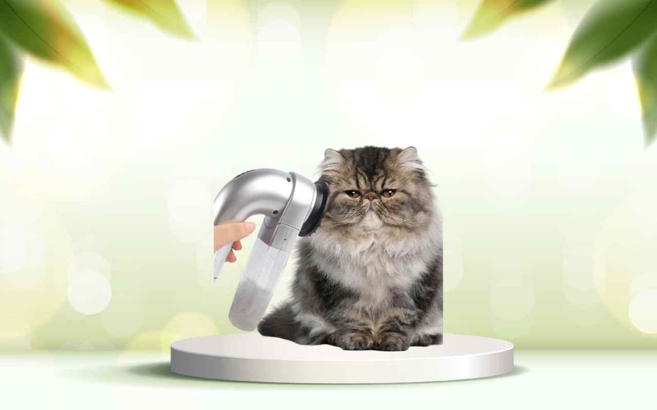 Prova SpazzolAmica: elimina i peli degli animali e pulisci casa senza fatica